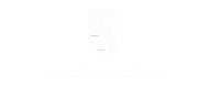 porche1